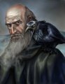 Mormont and his raven by Veronica V Jones.jpg