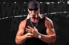Hulk-Hogan-03.jpg