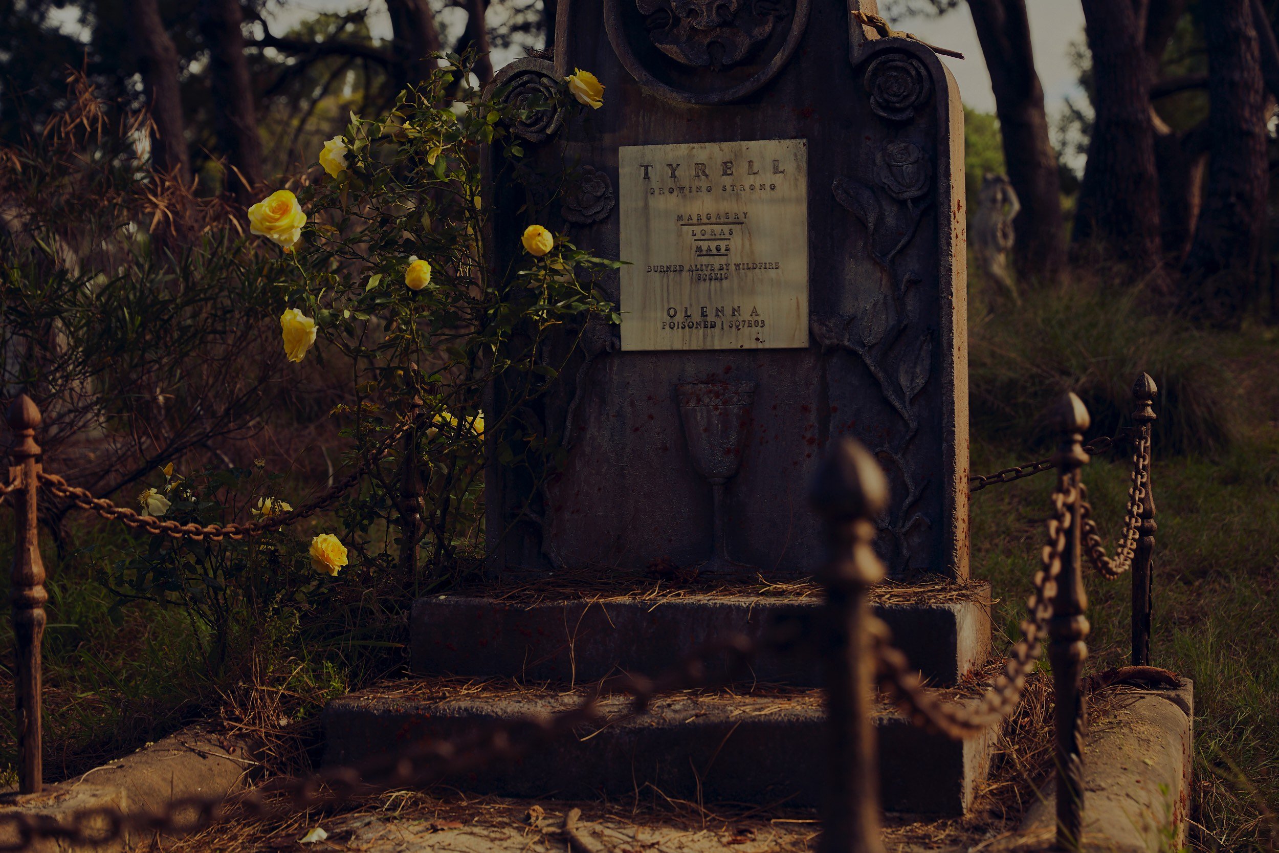 Похоронить игра. Могила (the Grave) 2020. Кладбище в Австралии. Могилы в Австралии. Игра про кладбище.