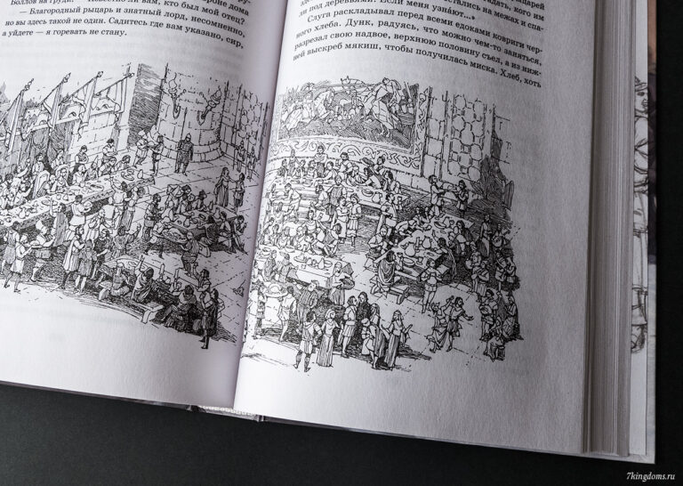 Внутренние иллюстрации книги «Рыцарь Семи Королевств»